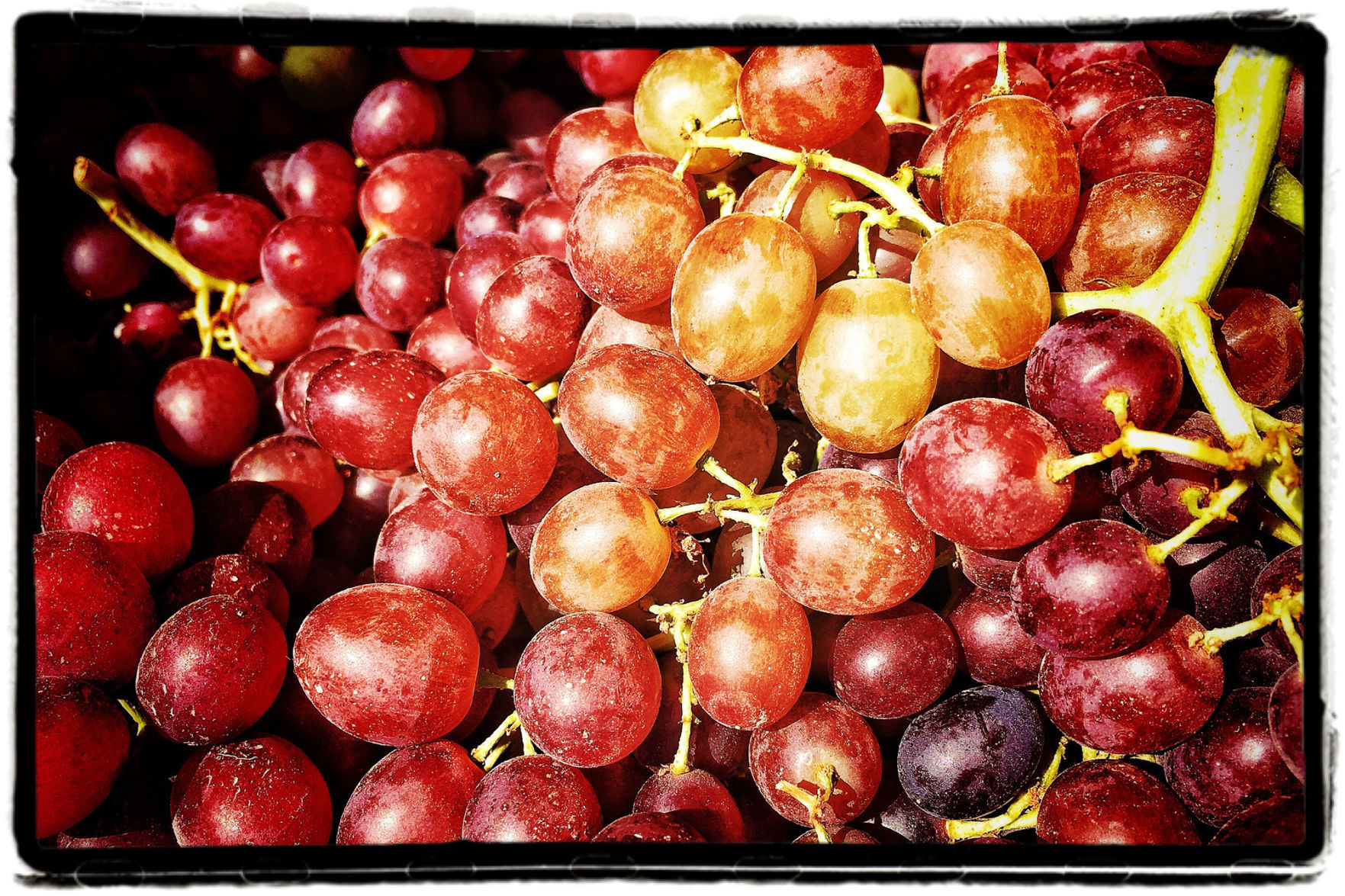 Farmers Market